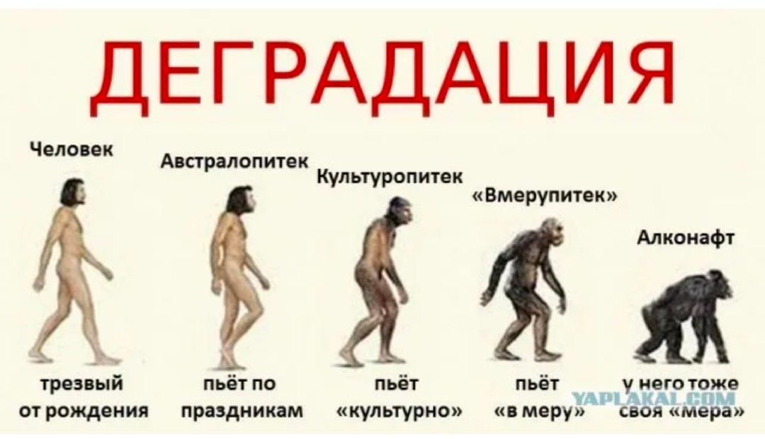 Screenshot_20250719_212154~2.jpg