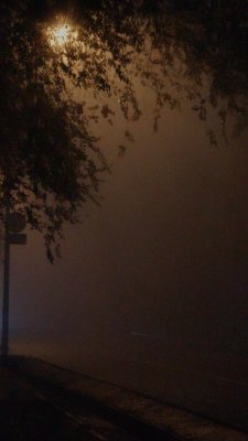 ABAA96A6-B52C-43A6-815B-BE97B2C1C6CE.jpeg