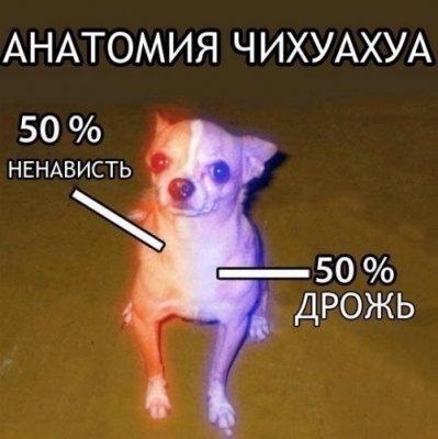 1395031096_small_1279.jpg