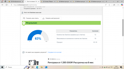 Юля.png