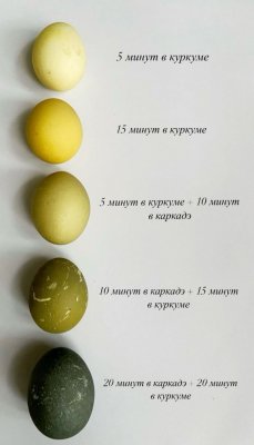 c2963dc0cfcef66f6ca92d1d14c0c59e.jpg