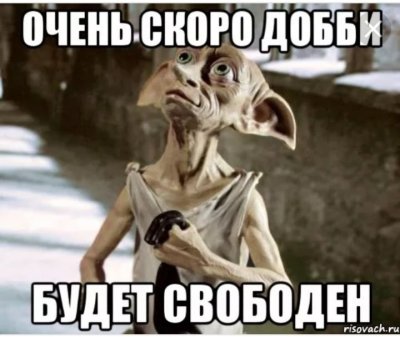 IMG_1775.jpeg