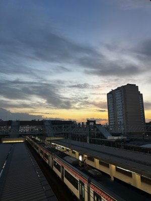 IMG_3181.jpeg