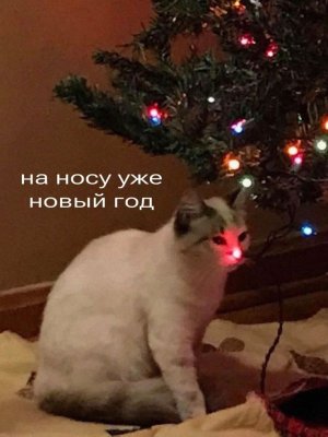 Итоги 2025