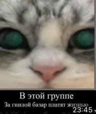 Yana1478