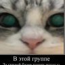 Yana1478